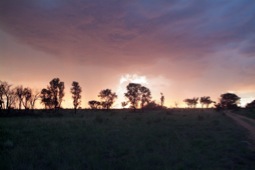 Johannesburg-04