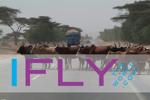 IFLY Africa